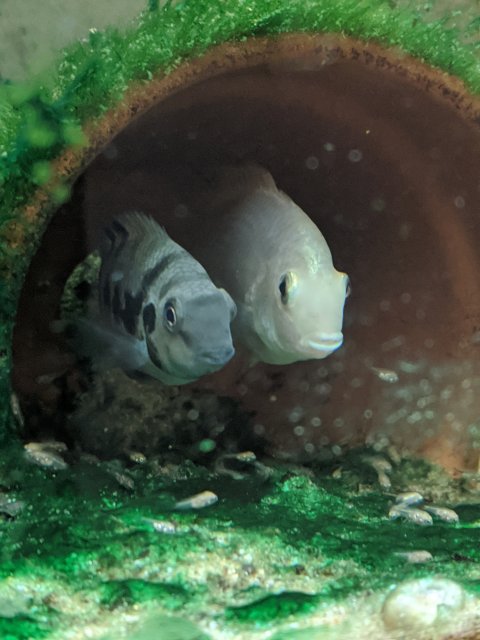 MVIMG_20200531_142844.jpg