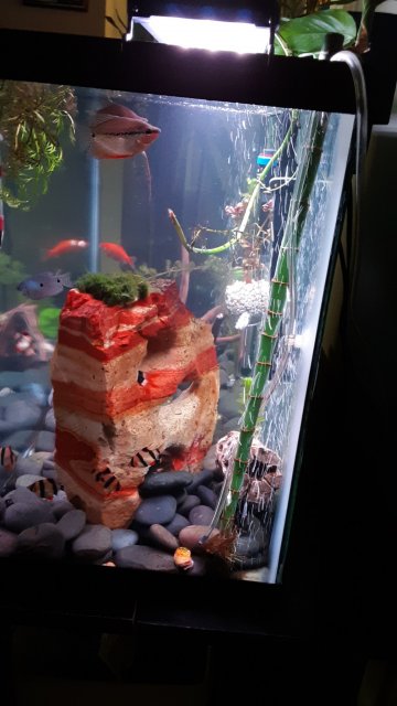 20200601_120600.jpg 20200601_120600.jpg