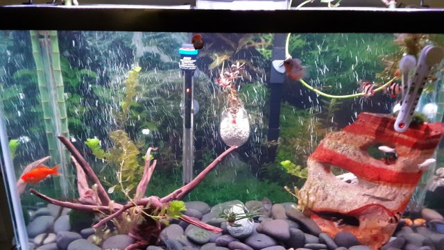 20200601_120616.jpg 20200601_120616.jpg