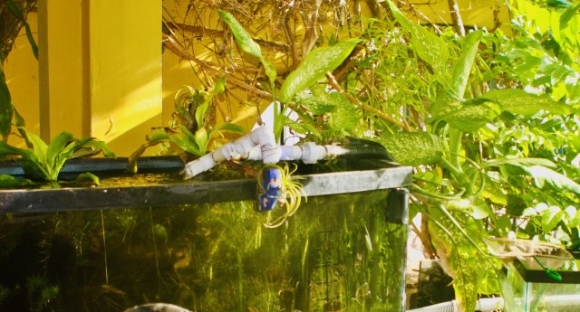 73DA6137-428A-4E78-9F7B-F926CDEFC351_1_201_a.jpeg 73DA6137-428A-4E78-9F7B-F926CDEFC351_1_201_a.jpeg