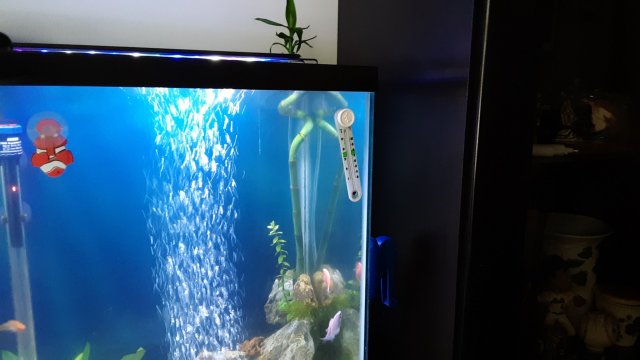 20200601_120726.jpg 20200601_120726.jpg