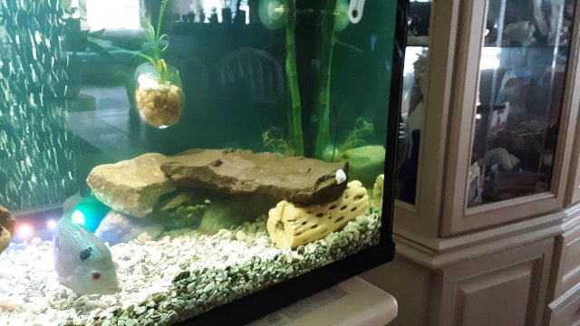 20200601_120754.jpg 20200601_120754.jpg