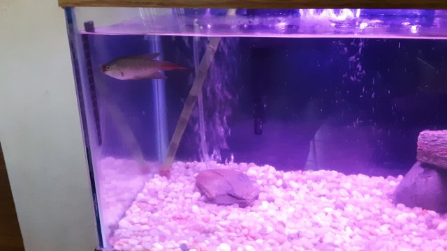 20200601_120746.jpg 20200601_120746.jpg