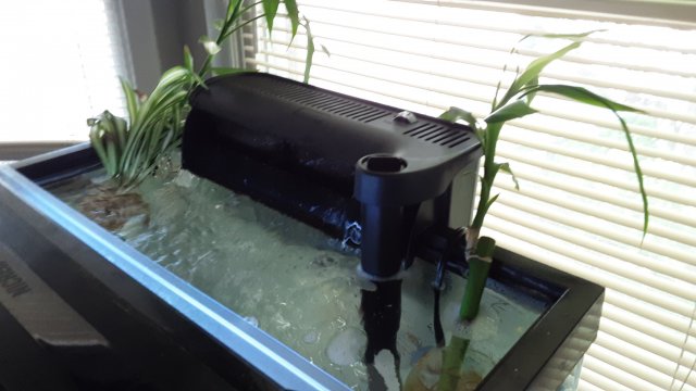 20200601_120702.jpg 20200601_120702.jpg