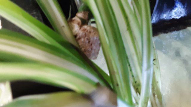 20200601_120714.jpg 20200601_120714.jpg