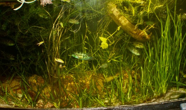 AA708130-F44C-4DBC-B2A8-8C13E58357A8_1_201_a.jpeg AA708130-F44C-4DBC-B2A8-8C13E58357A8_1_201_a.jpeg