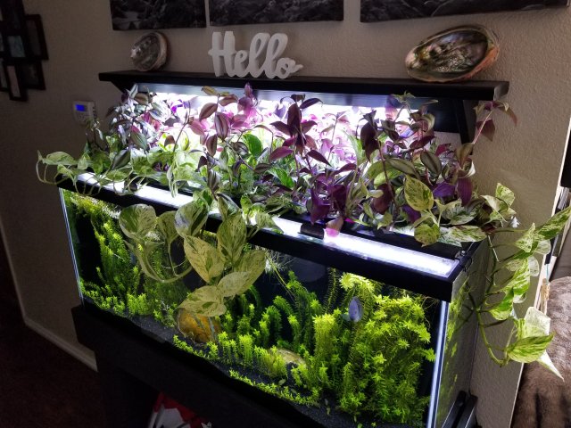 20200601_104305.jpg 20200601_104305.jpg