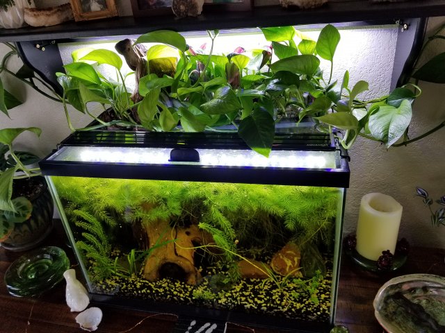 20200601_104157.jpg 20200601_104157.jpg