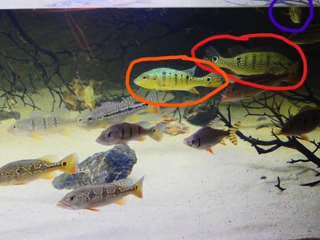 old photo_LI.jpg old photo_LI.jpg