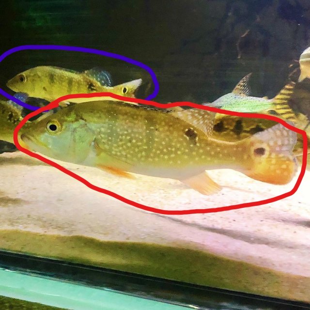 old photo2_LI.jpg old photo2_LI.jpg