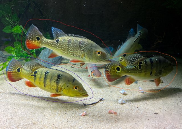 6-5 Group8_LI.jpg 6-5 Group8_LI.jpg