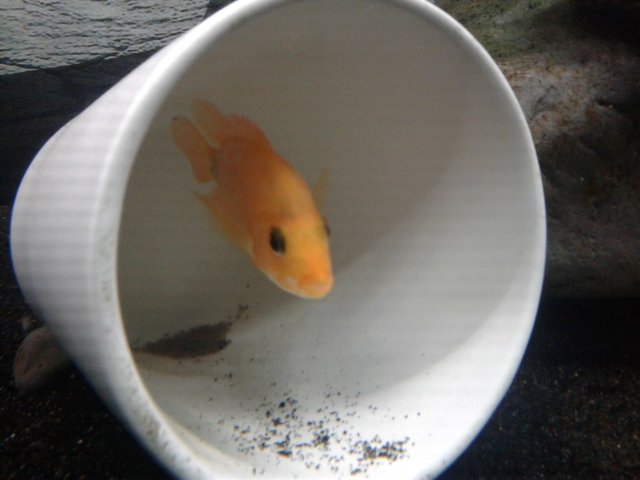 20190211_160524.jpg 20190211_160524.jpg