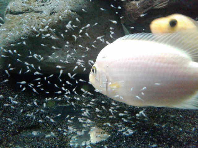 20190215_121019.jpg 20190215_121019.jpg