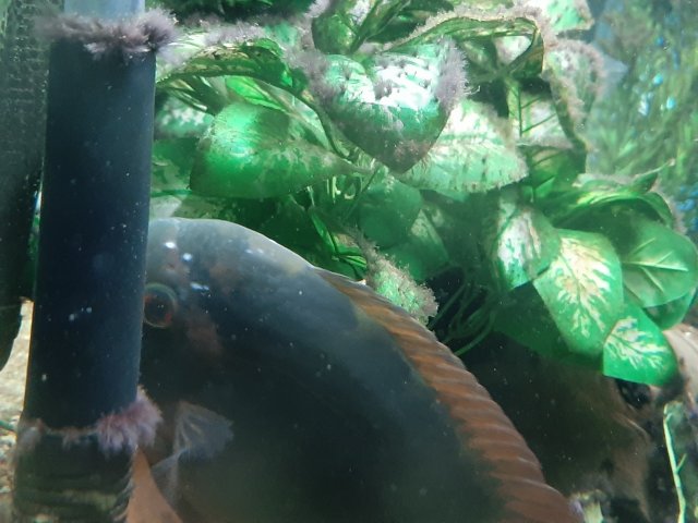 20200612_201912.jpg