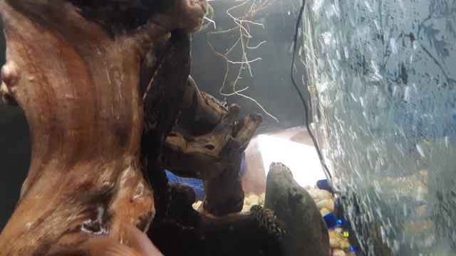 20200615_084546.jpg