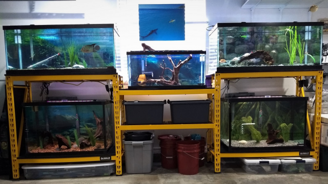 846338CF-8AF7-4905-A61C-936A8078958A.png 846338CF-8AF7-4905-A61C-936A8078958A.png