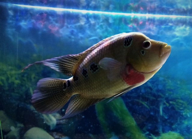 E41F2388-098D-4E64-B4D2-65ABA7005326.png E41F2388-098D-4E64-B4D2-65ABA7005326.png