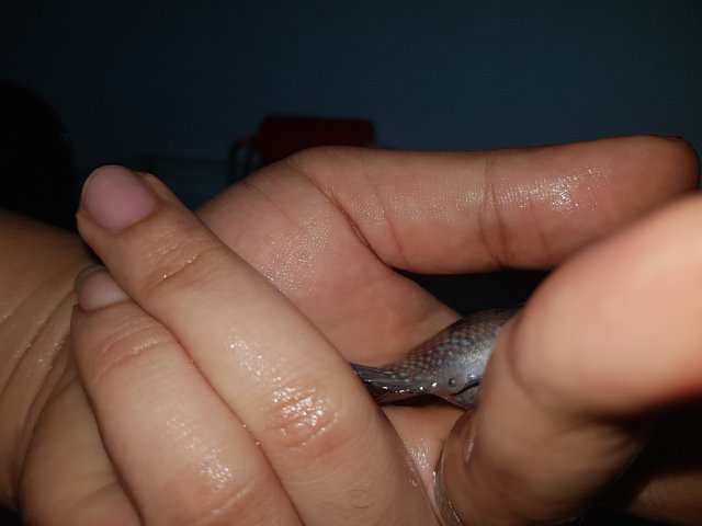 20200616_201429.jpg