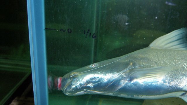100_9307.JPG