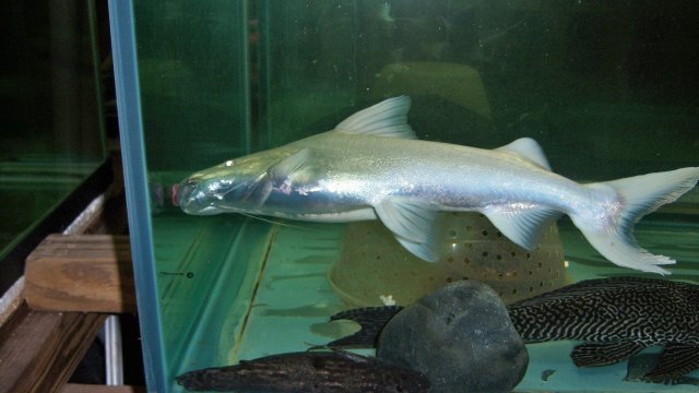 100_9308.JPG