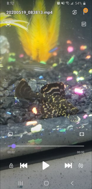 Screenshot_20200618-201210_Video Player.jpg Screenshot_20200618-201210_Video Player.jpg