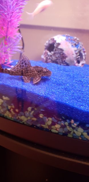 20200612_231000.jpg 20200612_231000.jpg