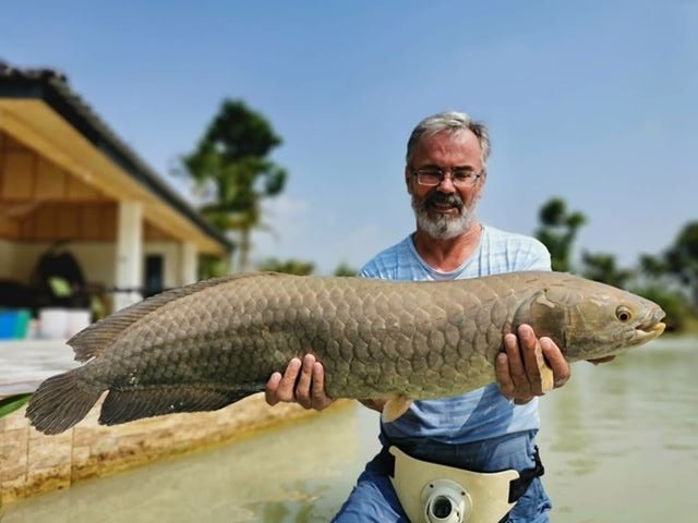 arowana.jpg
