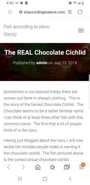 Screenshot_20200623-044038_Samsung Internet.jpg