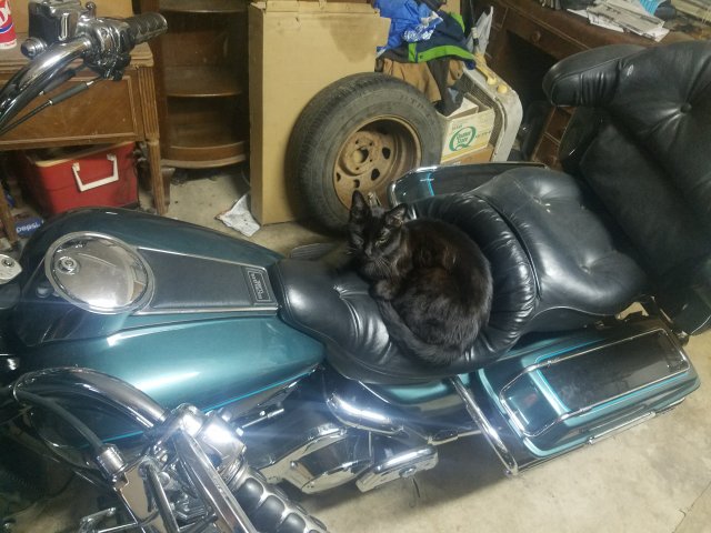 20170915_204756.jpg