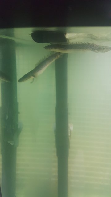20200704_084947.jpg