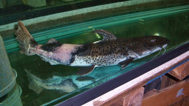 100_9183.JPG