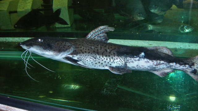 100_9204.JPG