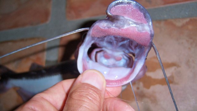 100_9397.JPG