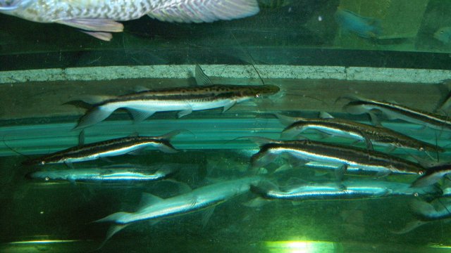 100_9302.JPG
