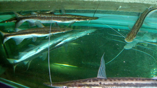 100_9304.JPG