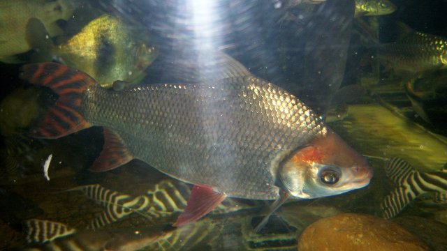100_9318.JPG