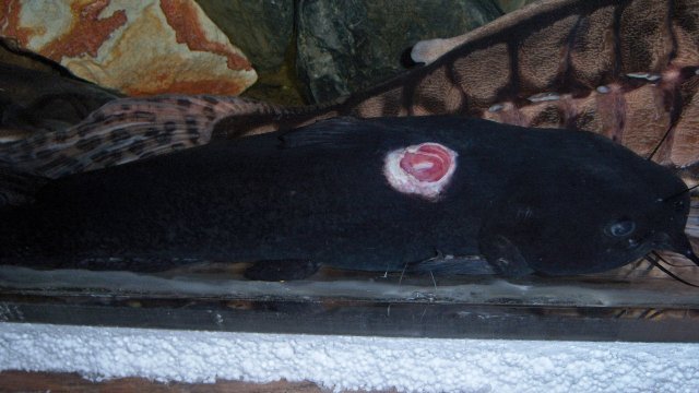 100_9386.JPG