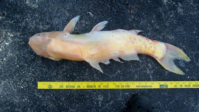 100_9348.JPG 100_9348.JPG