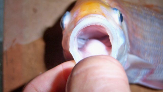 100_9402.JPG 100_9402.JPG