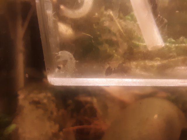 20200707_101715.jpg 20200707_101715.jpg