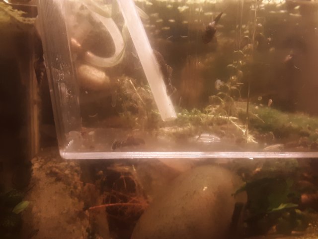 20200707_101700.jpg 20200707_101700.jpg