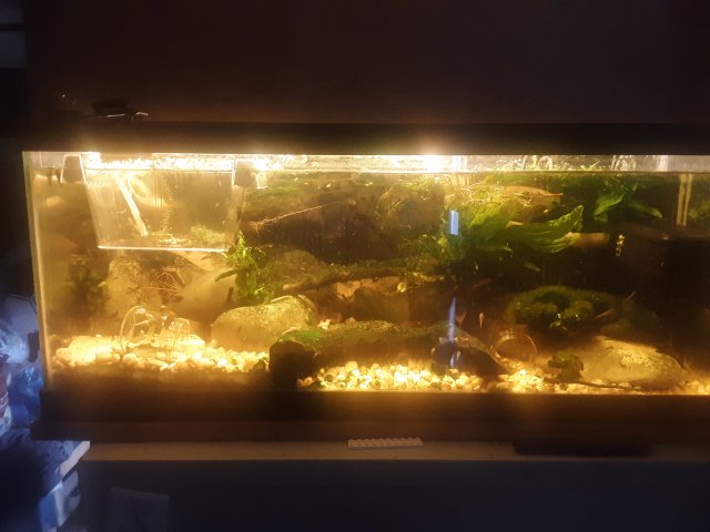 20200707_102906.jpg 20200707_102906.jpg