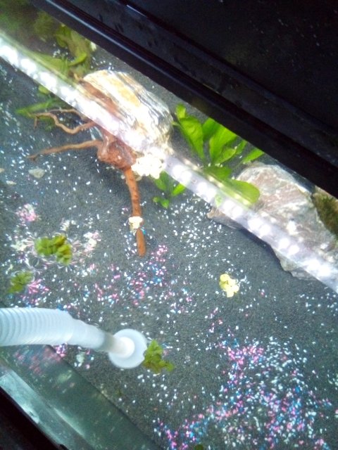 IMG_20200706_203041.jpg