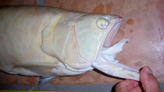 100_9405.JPG