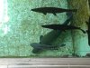 DSC00262.1.jpg