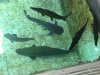 DSC00263.1.jpg