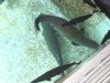 DSC00473.1.jpg