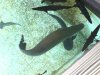 DSC00474.1.jpg