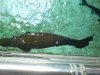 DSC00478.1.jpg