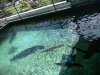 DSC00258.1.jpg